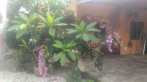 Apartamento 2bedroom Family House (cenang)