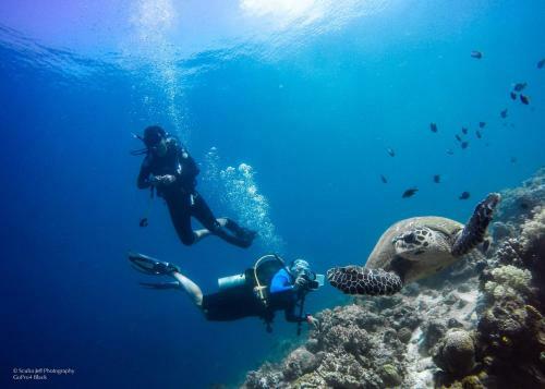 Hostal Scuba Jeff Mabul