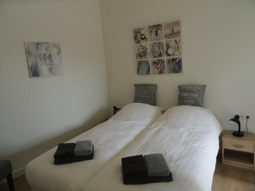 Apartment Lotte Domburg
