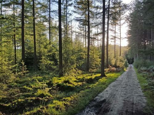 Holiday Home Veluwelodge 4p
