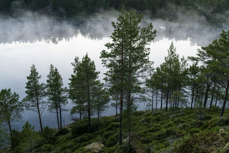 Hjorten Hotell Hitra