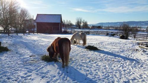 Bed & Breakfast Herkestad G�rd