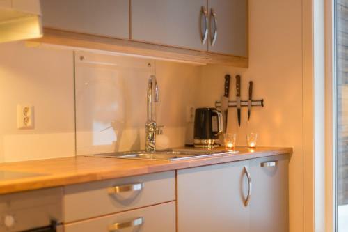 Apartamento Gl�d Pine Forest Lodging