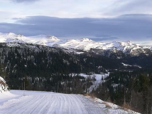Lodge Gamlest�len Fjellstue