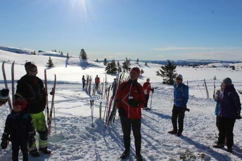 Lodge Gamlest�len Fjellstue