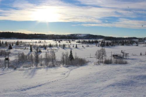 Lodge Gamlest�len Fjellstue