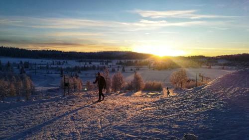 Lodge Gamlest�len Fjellstue