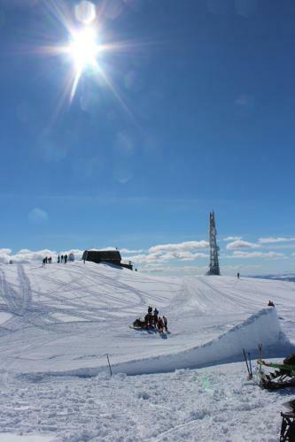 Lodge Gamlest�len Fjellstue