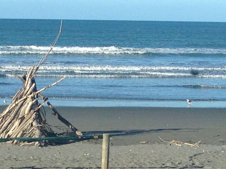 Beachfront Views