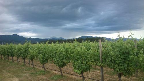 Bed & Breakfast Straw Lodge Vineyard And Boutique Lodging