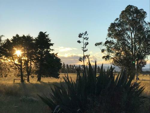 Agroturismo Pleasant Point Farm Stay