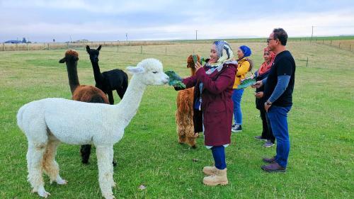 Agroturismo Shiloh Eco Farm
