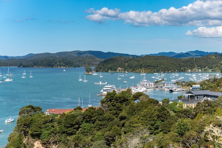 Lodge Marina Cove