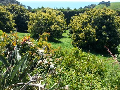 Bed & Breakfast Ridgehaven Accommodation