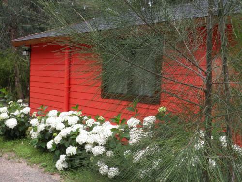 Lodge Caba�as Del Potrero