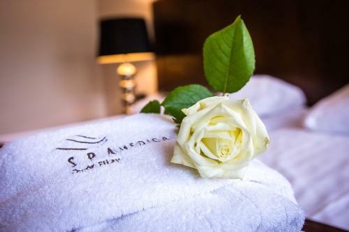 Hotel Spa Medical Dw�r Elizy