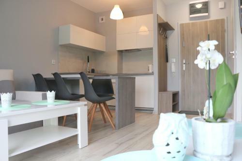 Apartamenty Dziwn�wek