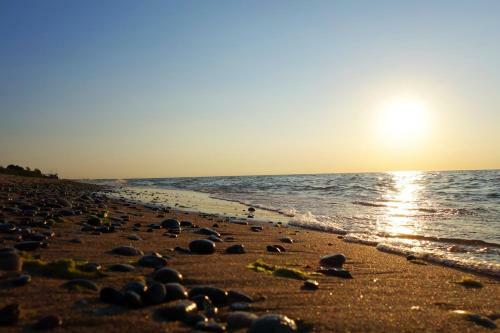 Baltic Apart
