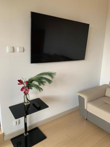 Apartments Luxview