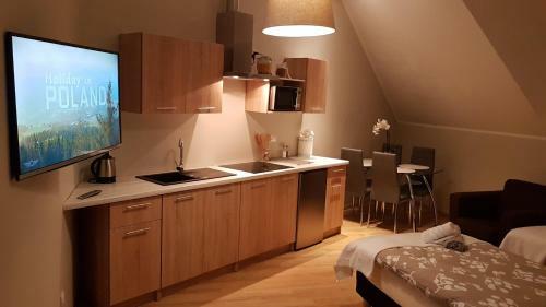 Apartament Strumyk