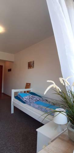 Hostal Dom Wczasowy Wiktoria