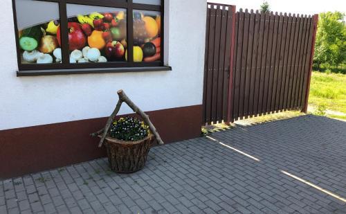 Apartament Pod Kasztanami