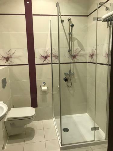 Hotel Go?ciniec Pod M?ynem