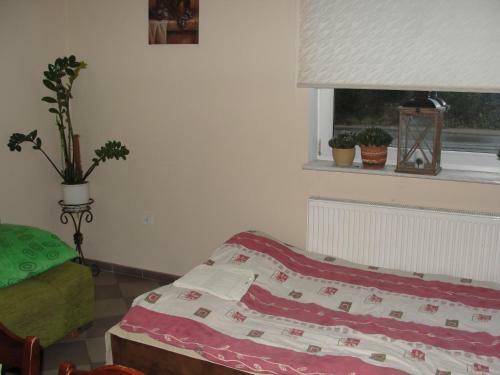 Agroturismo Fenix Grzybno