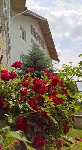 Hotel Margot