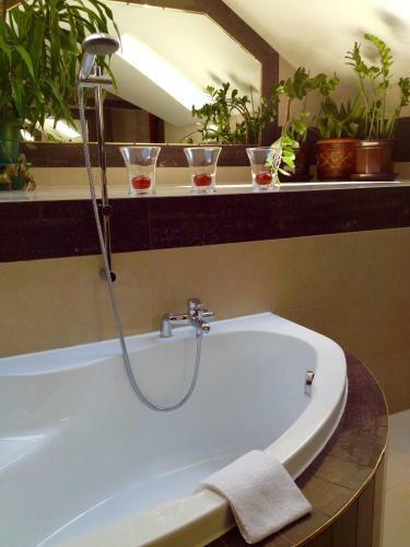 Apartamento Pa?ac Zdrojowy