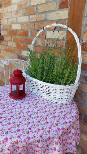 Apartamento Zakatek Mala
