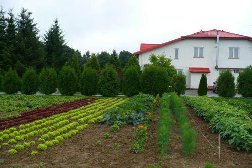 Hotel Zajazd "marta"