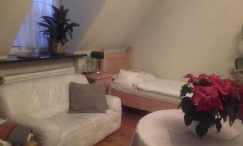 Hostal Willa Nestor