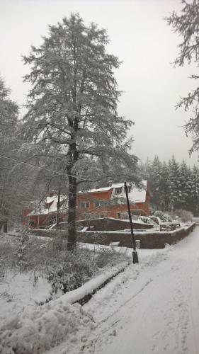 Hostal Dworek Le?ny