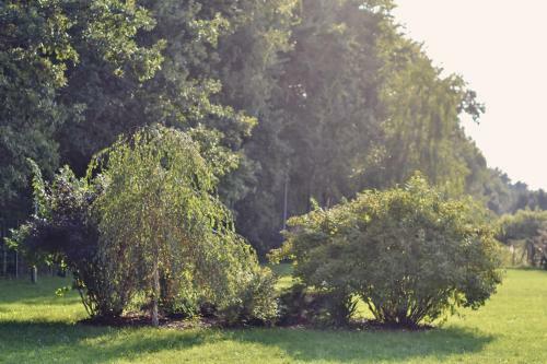 Hotel Eco Niebor�w