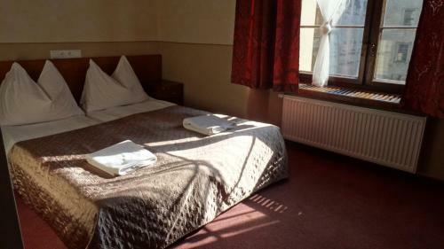 Hotel Zamek Mi?dzylesie