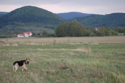 Hostal Rezydencja Terra Sudeta