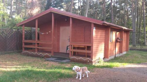 Lodge Ow Gabi