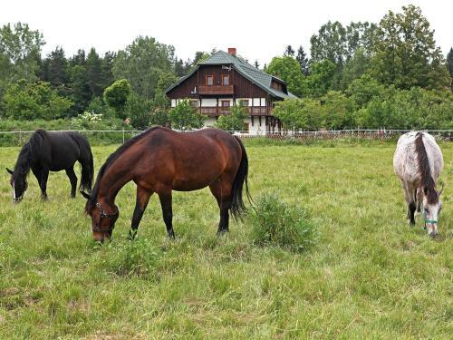 Agroturismo Osada Je?dziecka Bata