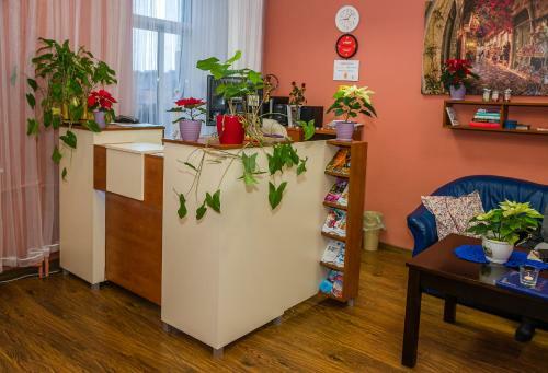 Hostel Kamienica