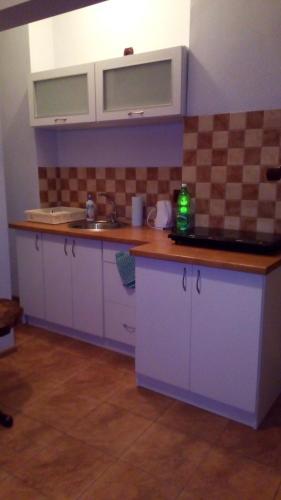 Apartament Pod Wierzb?