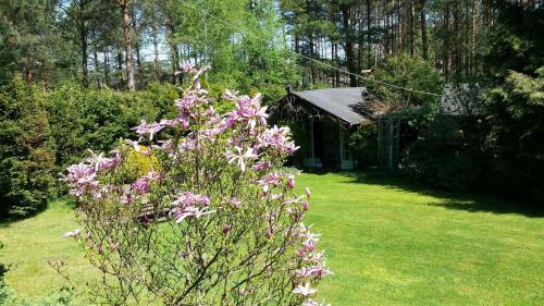 Lodge Domek Letniskowy Na Kaszubach