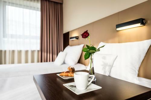 Hotel Victor Pruszk�w Desilva