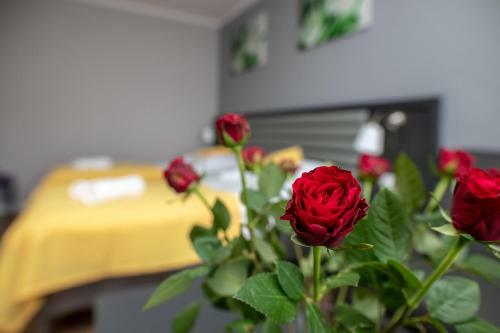 Apartamenty Brzezinski