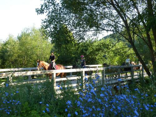 Agroturismo Ropuszy Dw�r