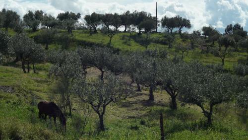 Agroturismo Casa Dos Xar�s