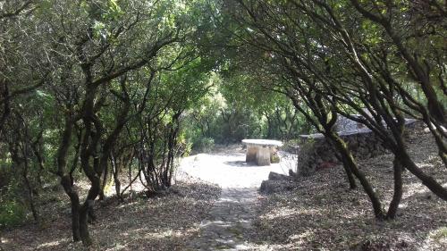 Agroturismo Cabe�o Dos Tr�s Moinhos