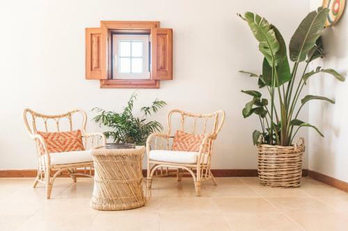 Bed & Breakfast Dreamsea Surf Guest House