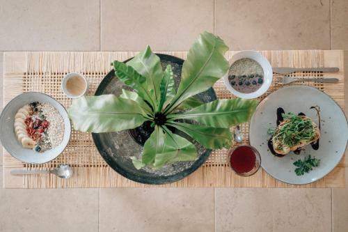 Bed & Breakfast Dreamsea Surf Guest House