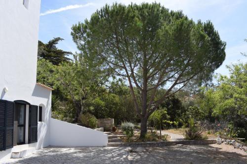 Villa De Hofnar